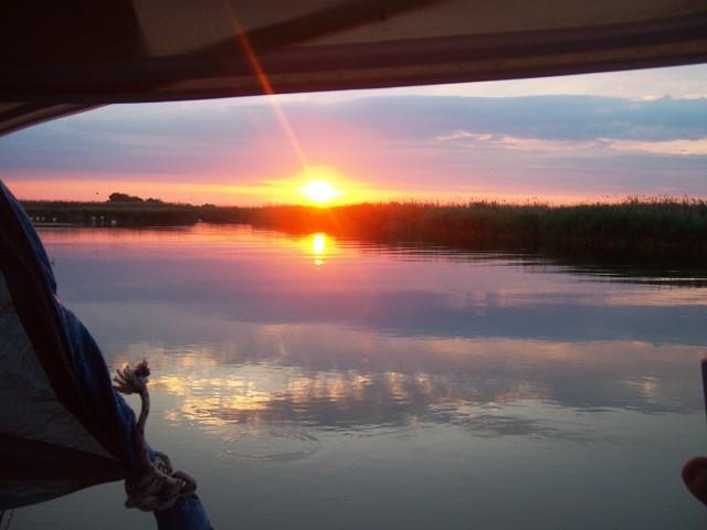 Doar ...  NATURA - sany0725.JPG